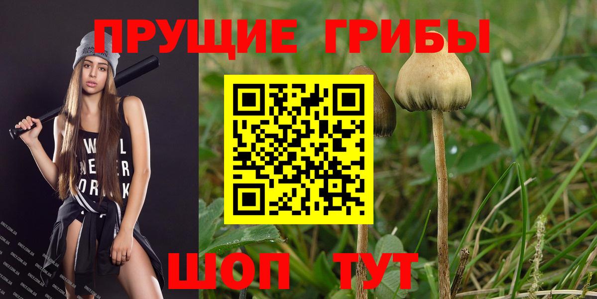 Галлюциногенные грибы мицелий  Псилоцибиновые грибы Psilocybe  Вход с VPN  Ялта 